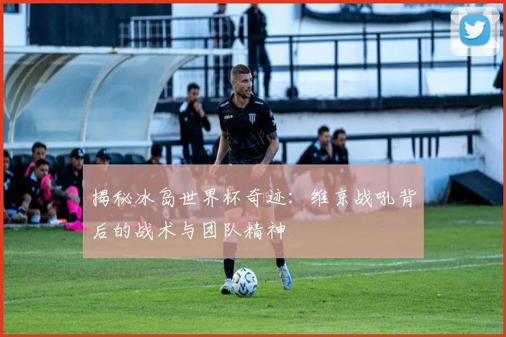 揭秘冰岛世界杯奇迹：维京战吼背后的战术与团队精神